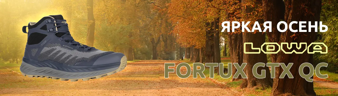 FORTUX-GTX-QC